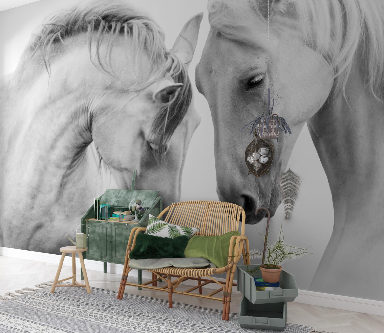 Fotobehang witte paarden communiceren