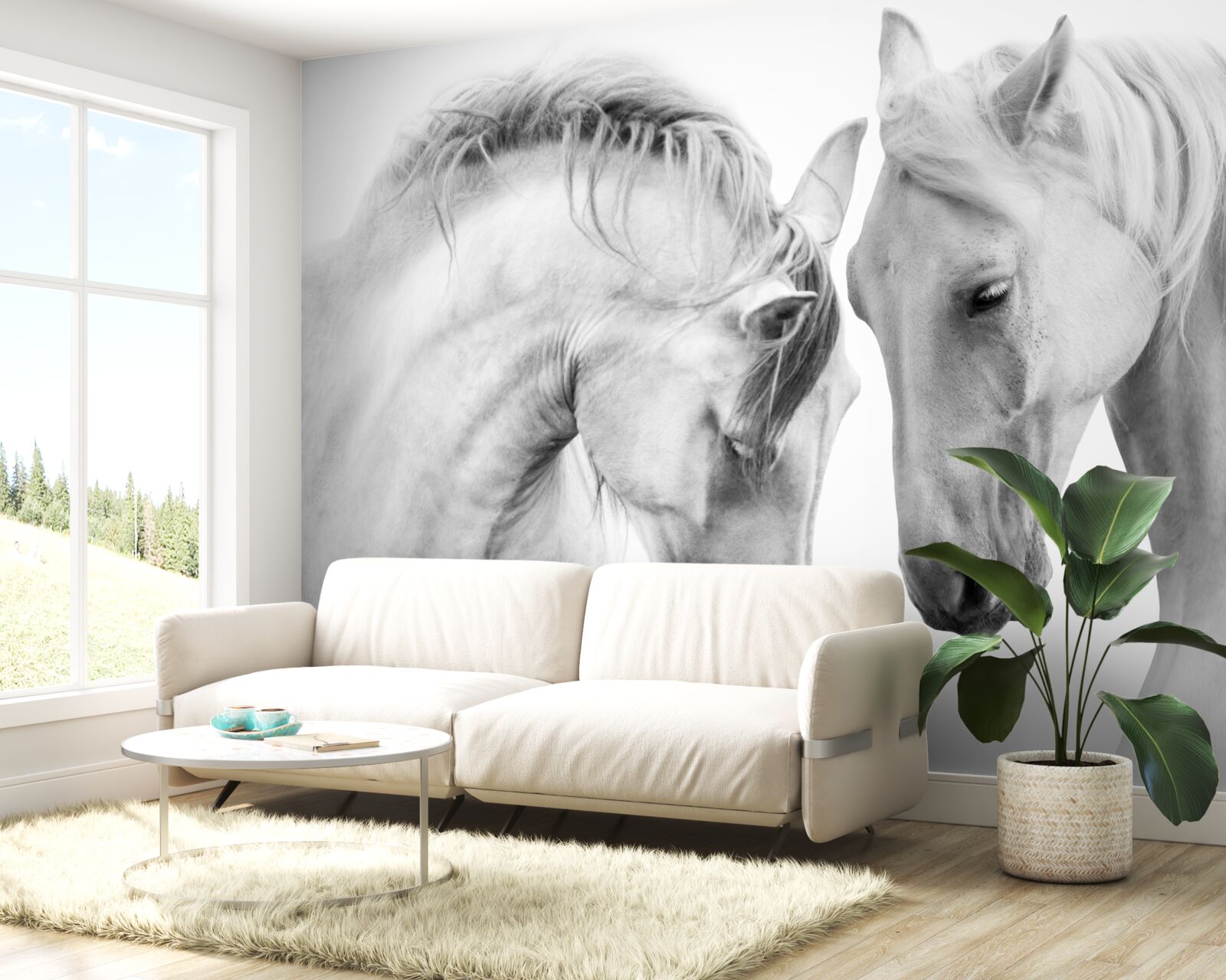 Fotobehang witte paarden communiceren