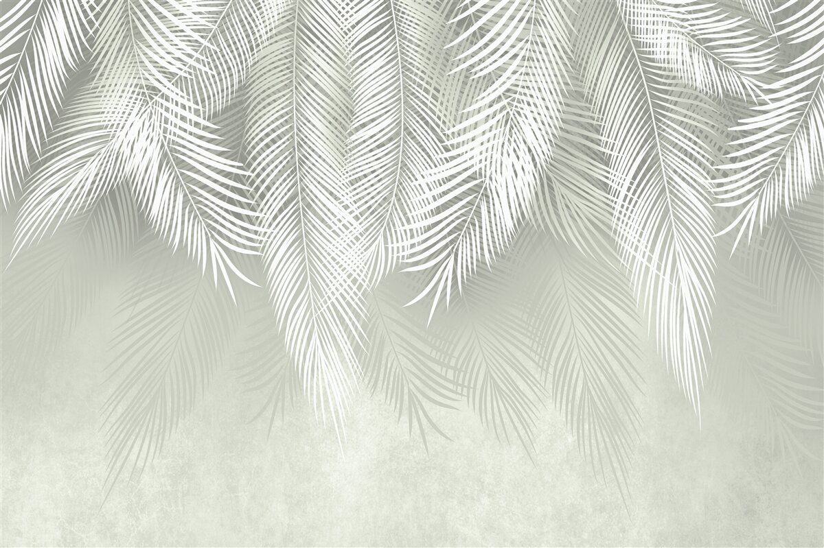 Fotobehang sneeuwwitte palmbladeren, delicaat en zacht