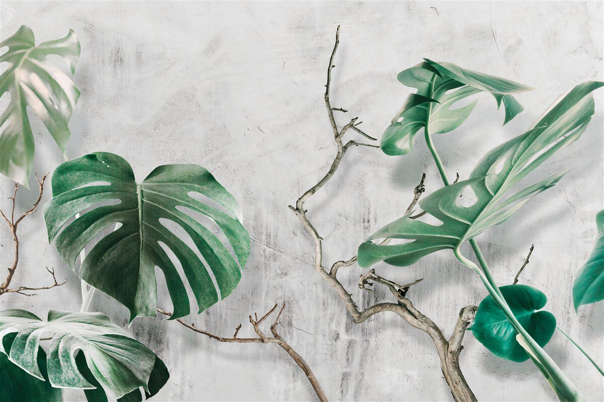 Fotobehang tropische monsters met groene takken