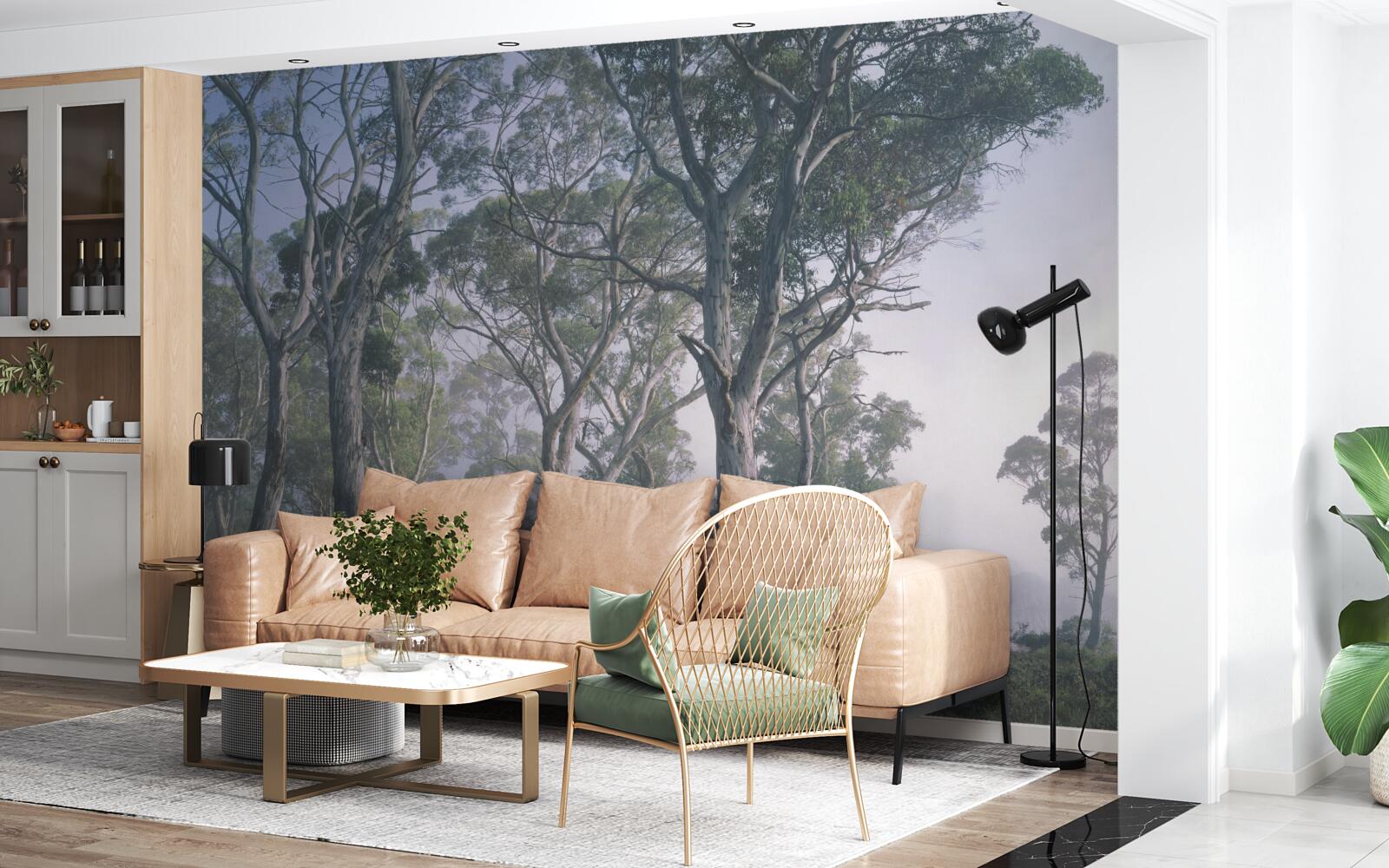 Fotobehang ochtend ontwaakt in een mistig bos