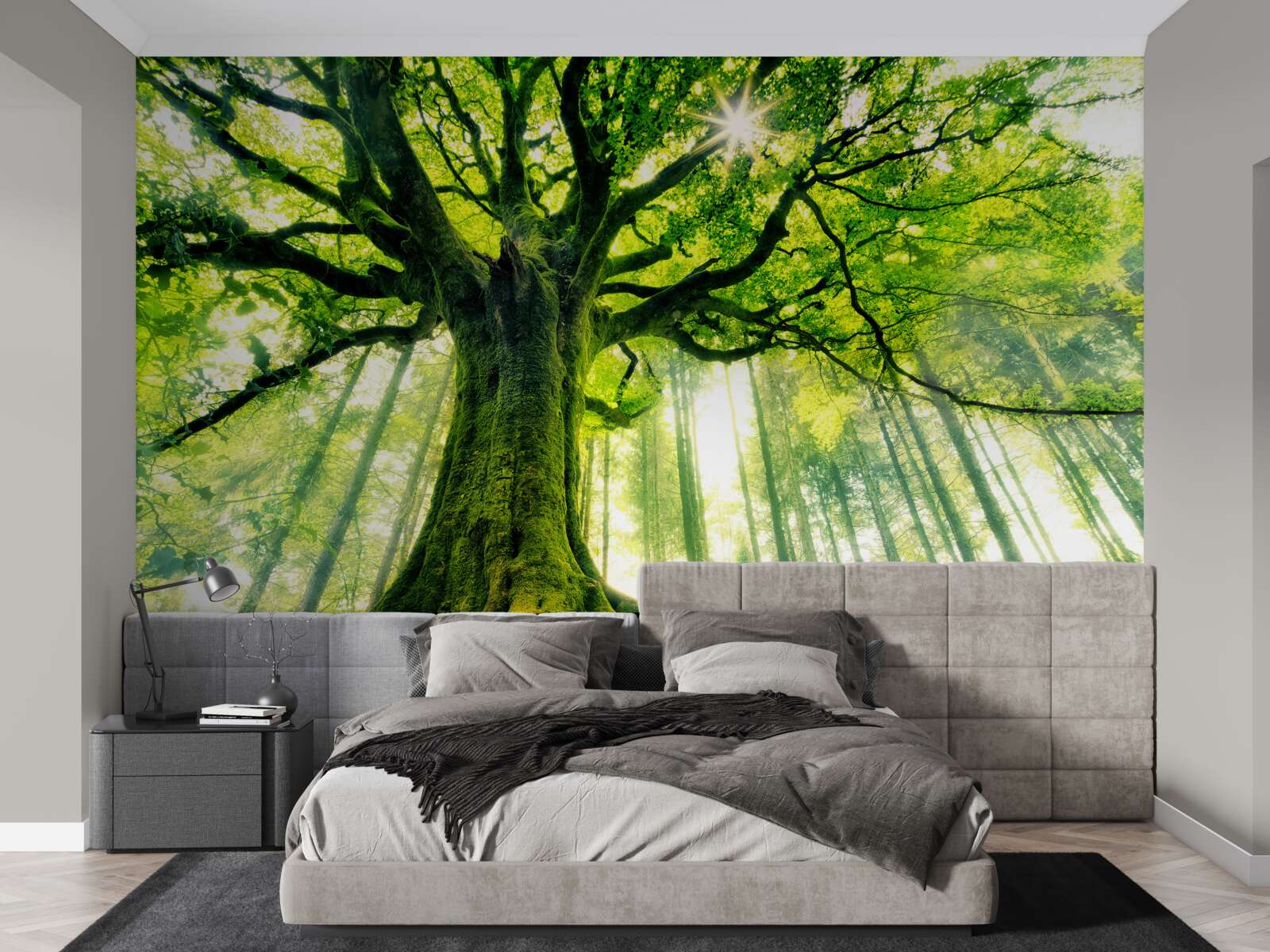 Fotobehang majestueuze boom van het bestaan begroet de zonsopgang