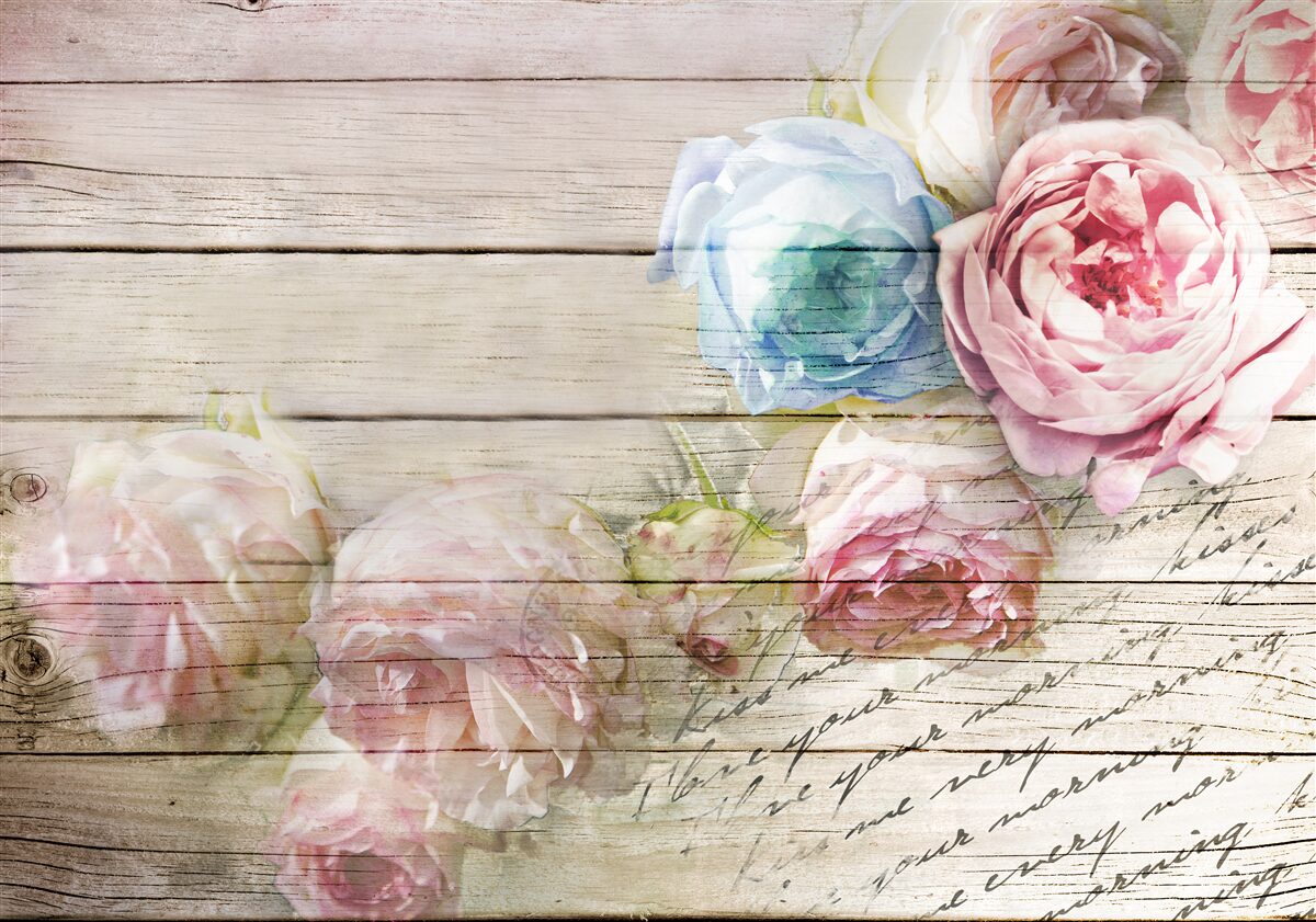 Fotobehang set rozen vergelijkbaar met pioenen