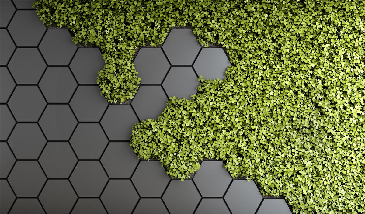 Fotobehang het steenwerk is bedekt met groen mos