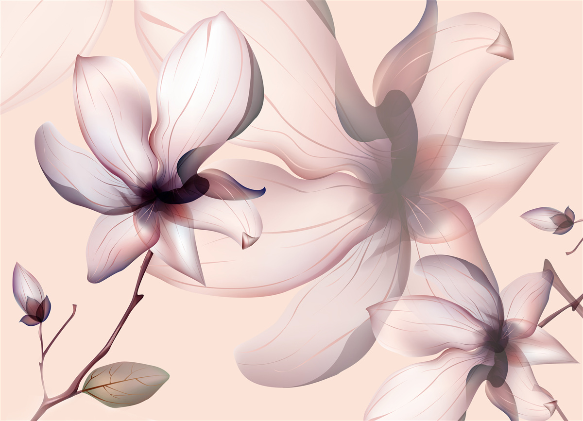 Fotobehang heldere achtergrond met magnolia's