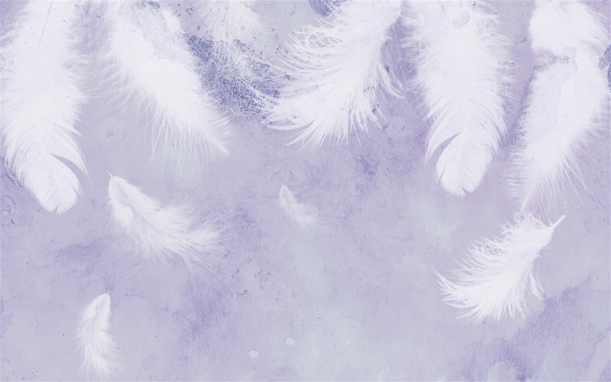 Fotobehang zwevende witte veren