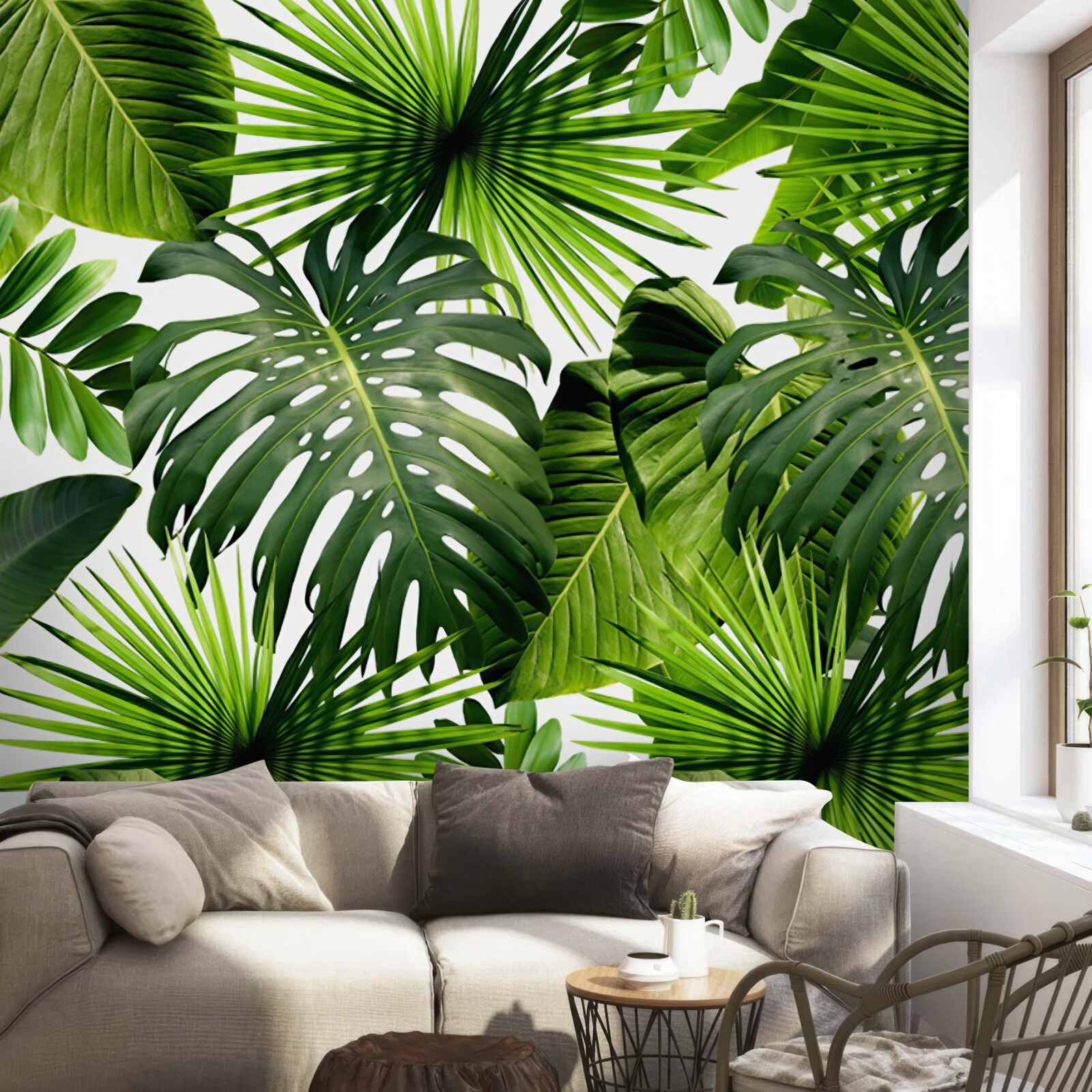 Fotobehang monstera en bananenbladeren op een witte achtergrond, met dichtheid