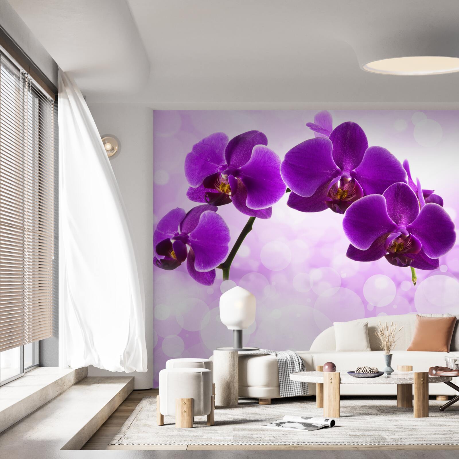 Fotobehang orchideeën met donkerpaarse bloemen