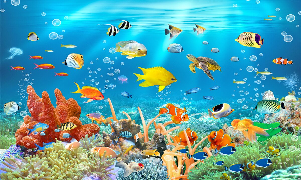 Fotobehang fascinerende wereld onder water