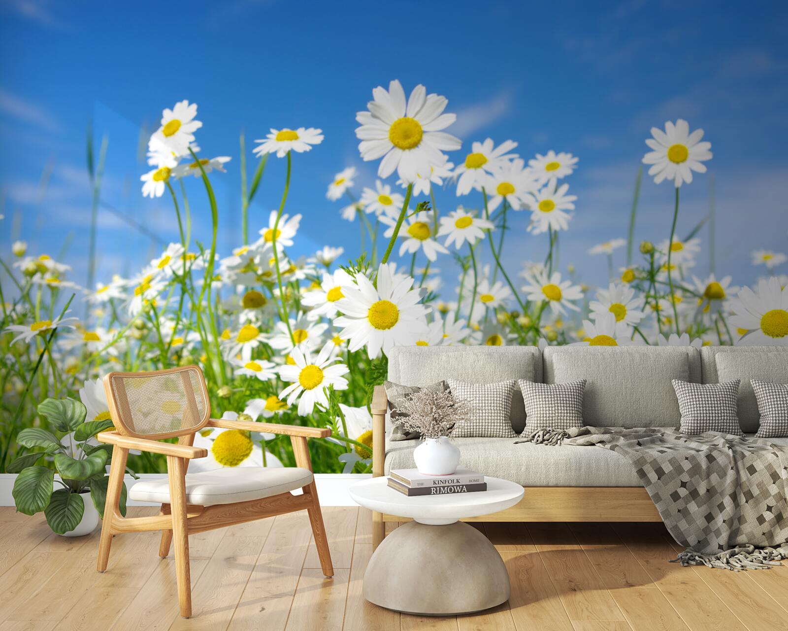 Fotobehang kamille in een weide op een zomerse dag