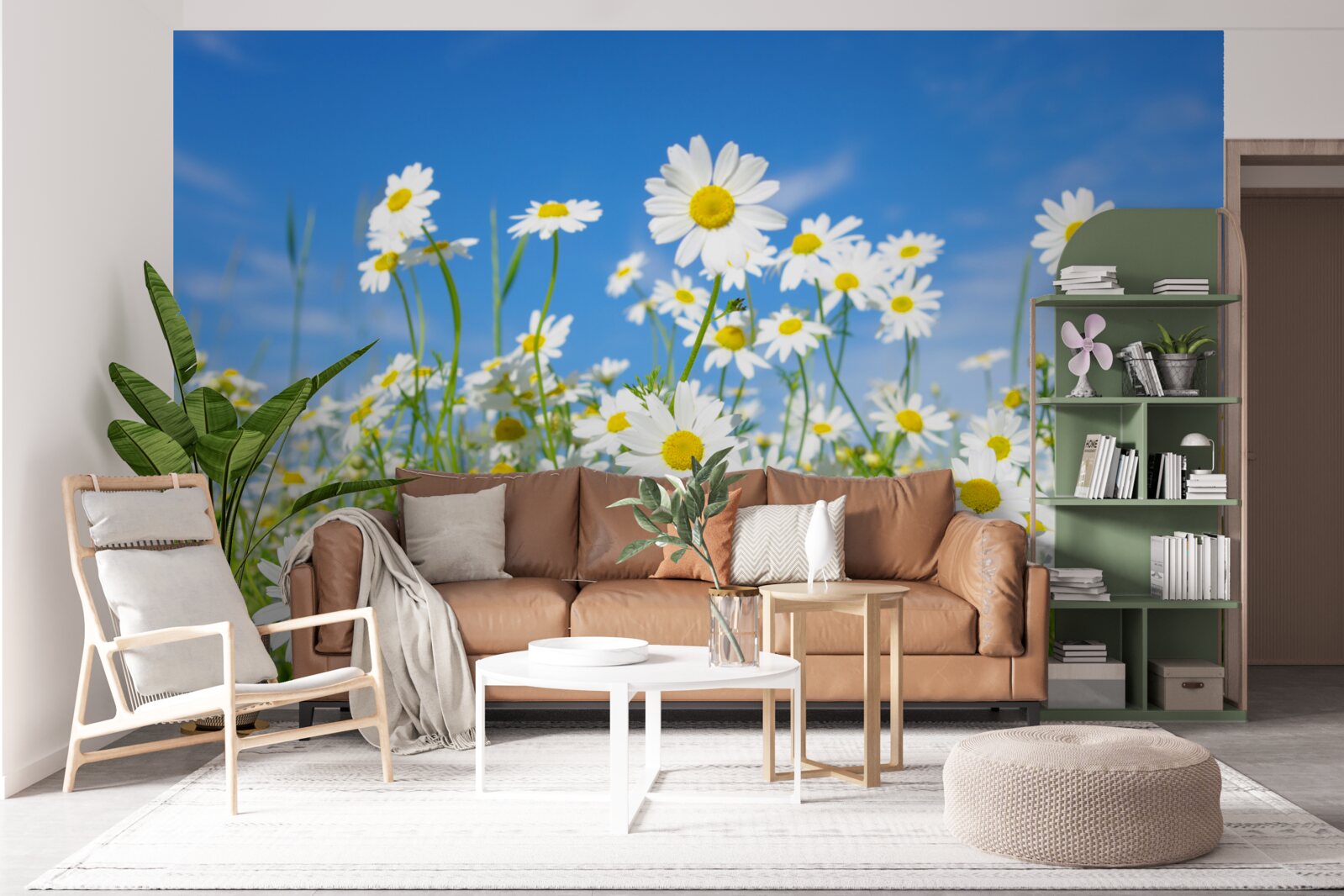 Fotobehang kamille in een weide op een zomerse dag