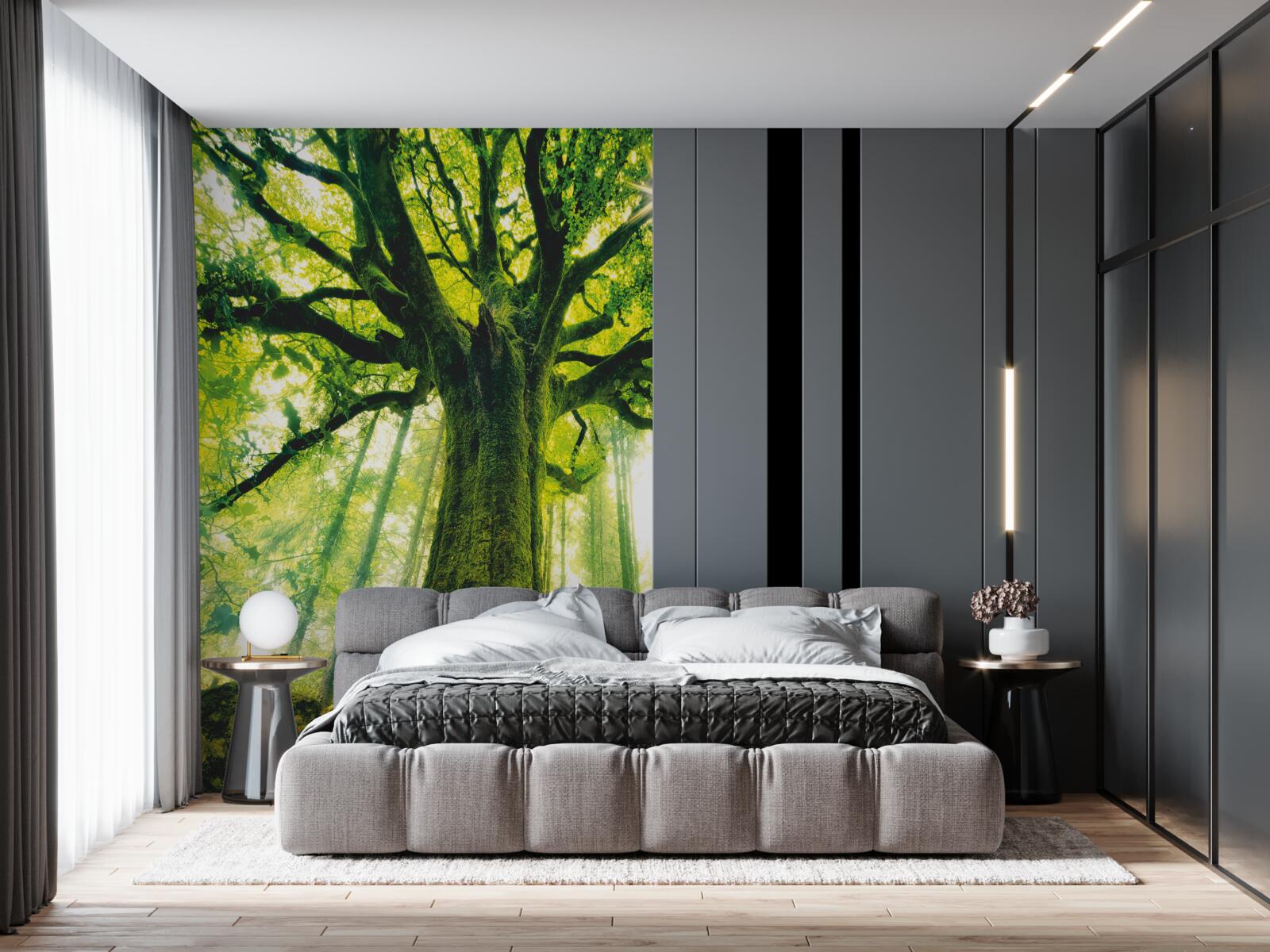 Fotobehang levensboom in het ochtendbos