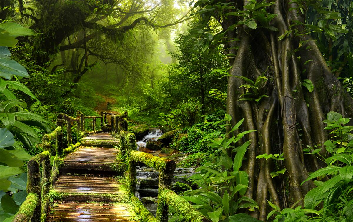 Fotobehang in de Aziatische jungle is er een waterval