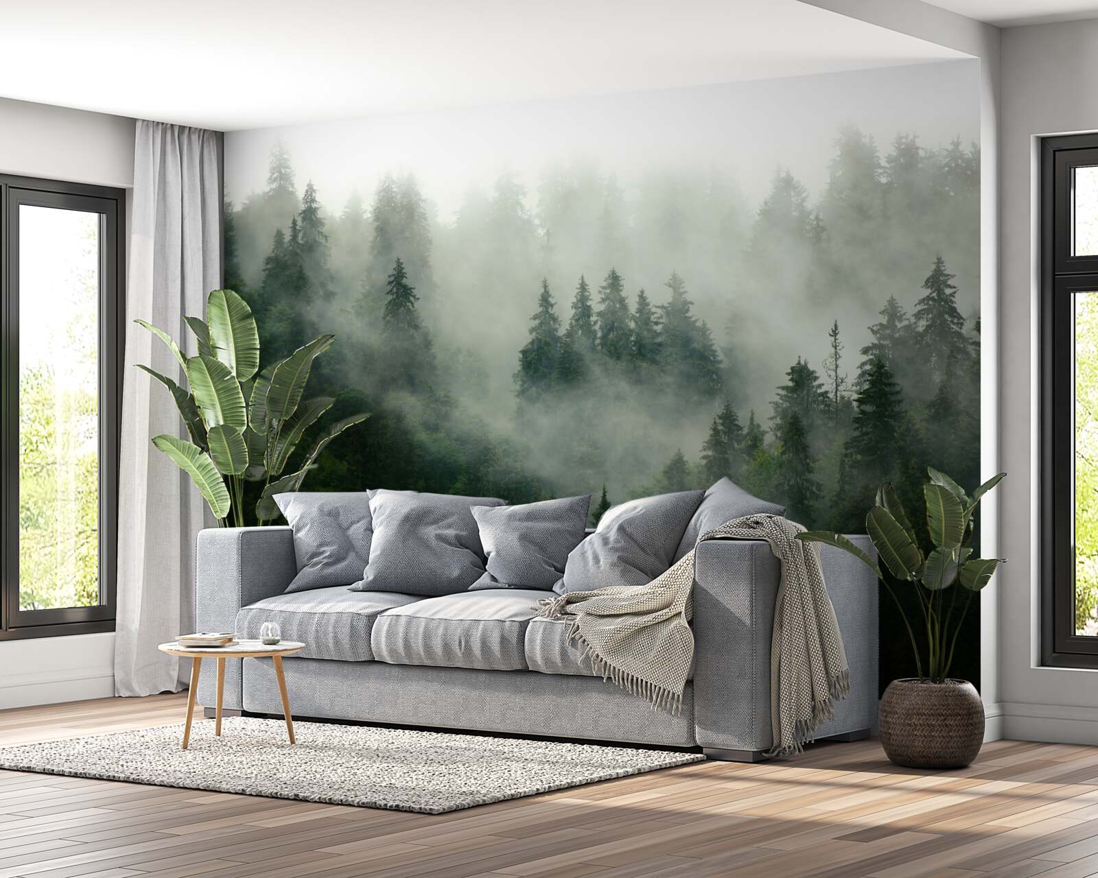 Fotobehang duisternis tussen de sparren en dennen