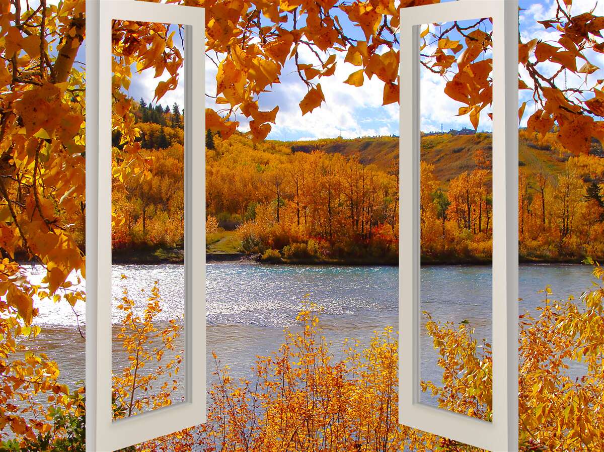 Fotobehang uitzicht op het herfstbos vanuit het raam