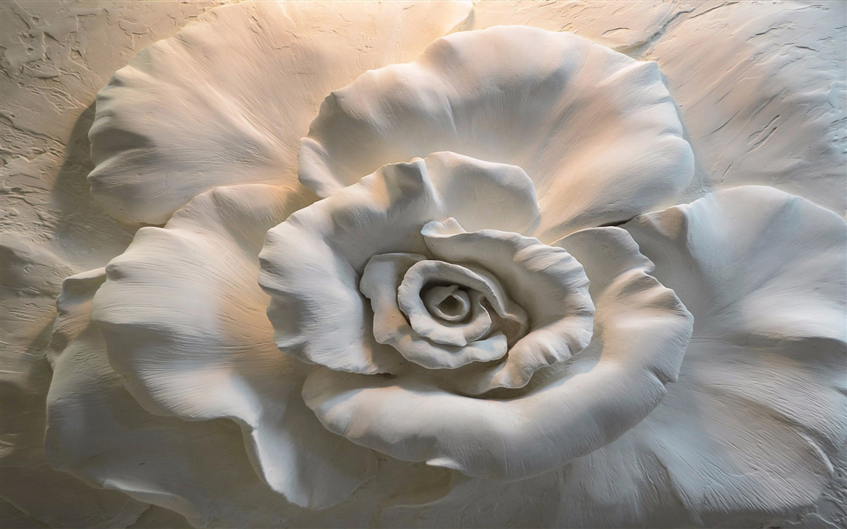 Fotobehang close-up van een grote witte roos