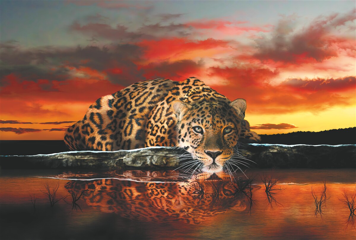 Fotobehang luipaardprint tegen een zonsondergang