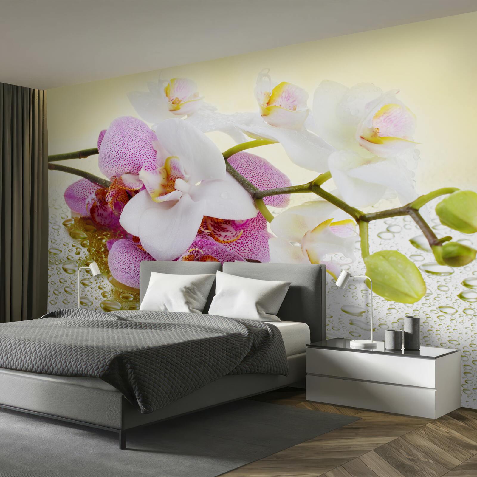 Fotobehang druppels op de takken van prachtige orchideeën