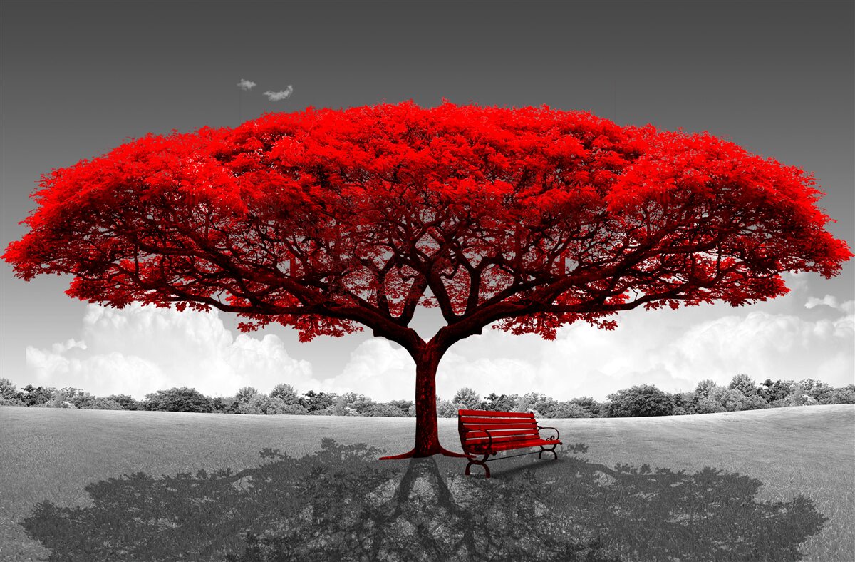 Fotobehang Het leven is een rode boom op een grijze open plek