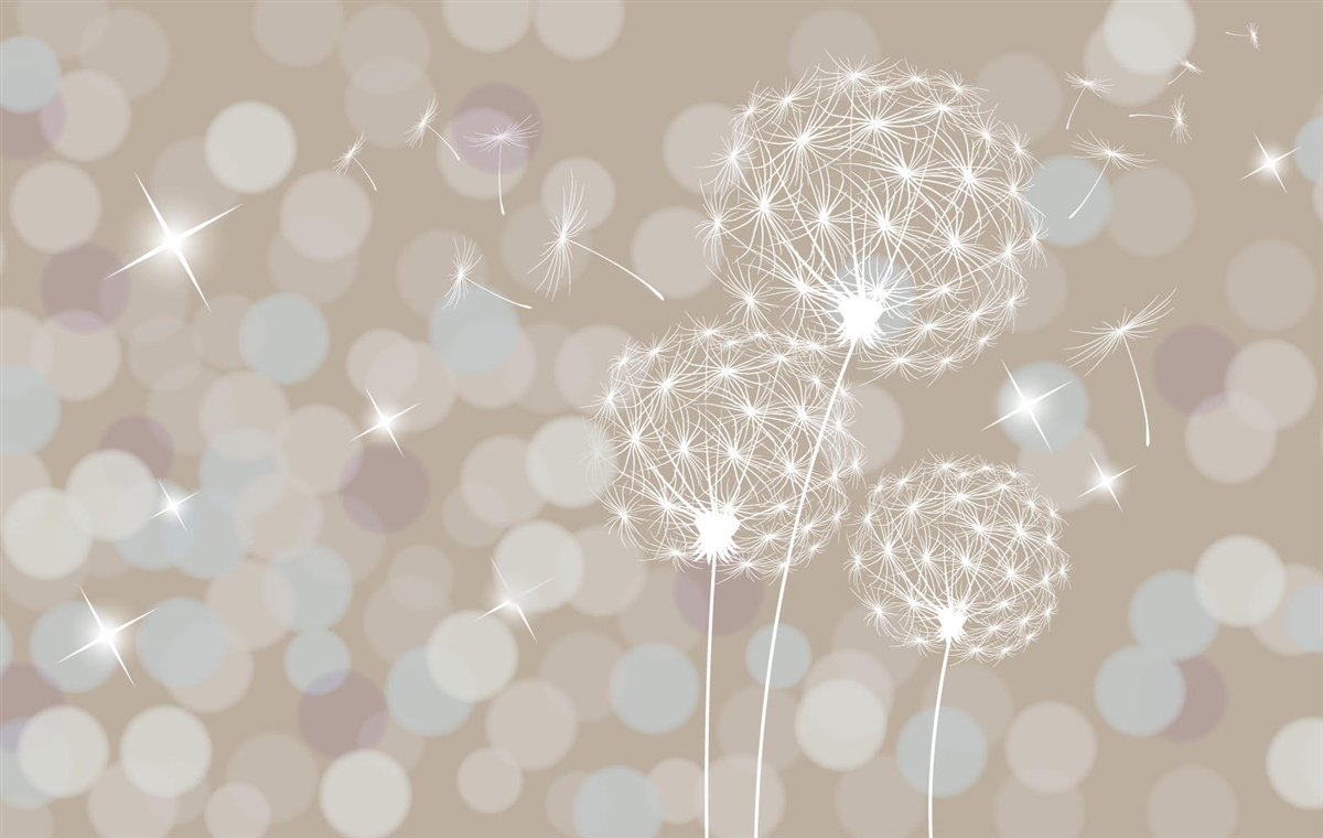 Fotobehang paardebloemblaadje, licht als een veertje