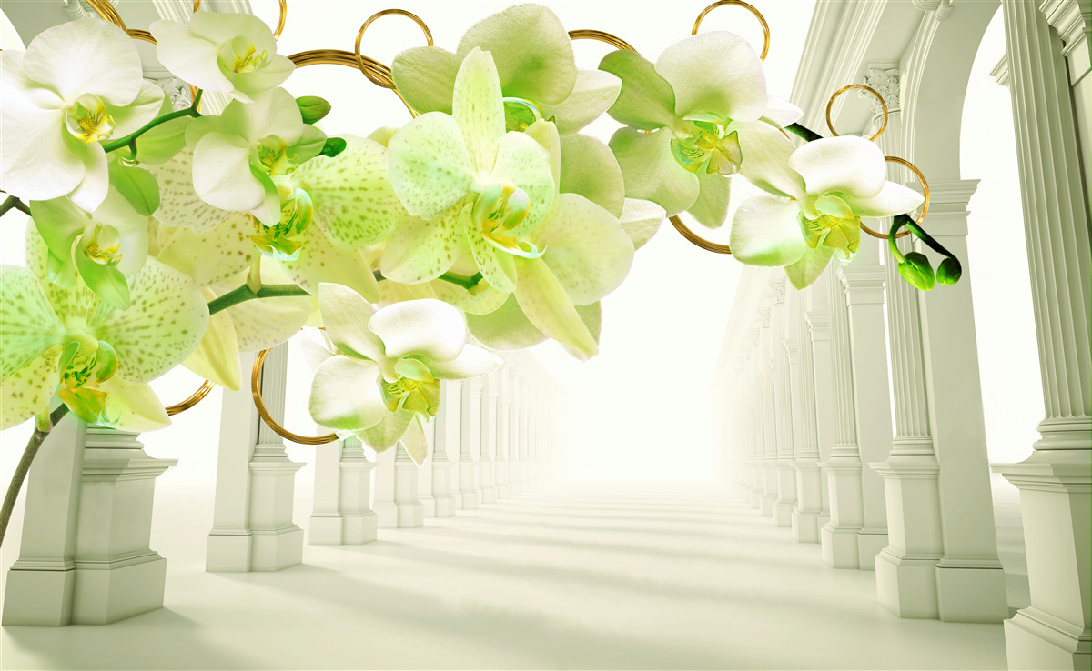 Fotobehang witte en groene orchidee tegen witte pilaren