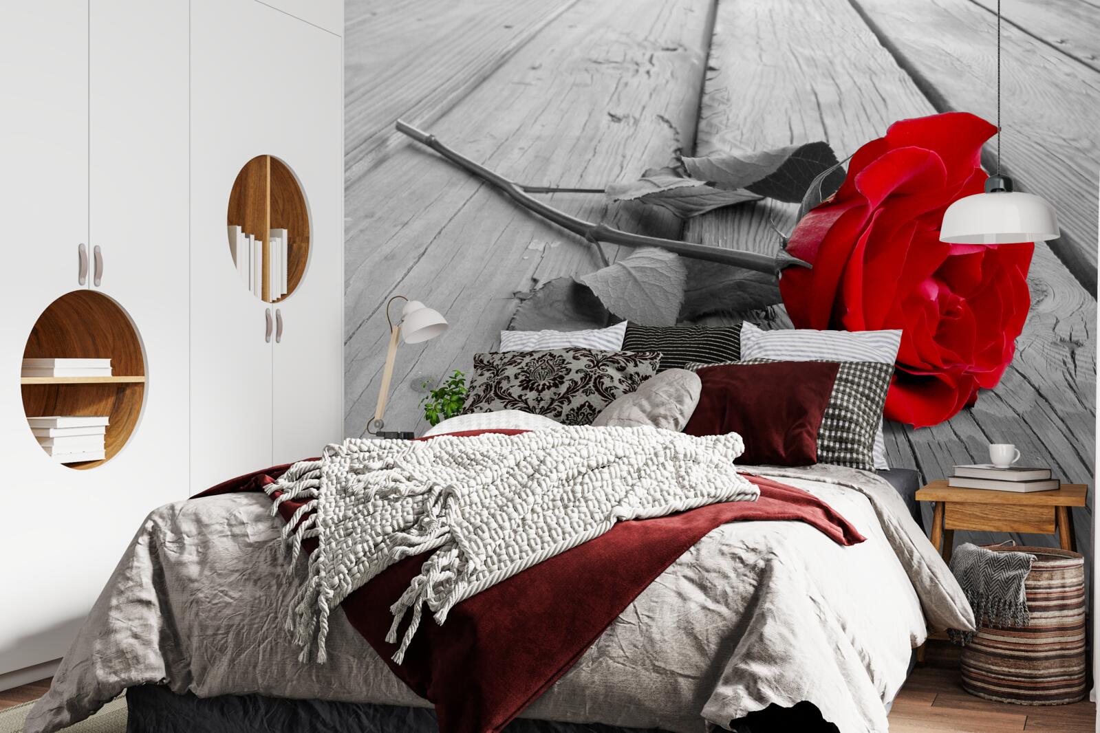 Fotobehang een rode roos bloeide op een grijze achtergrond