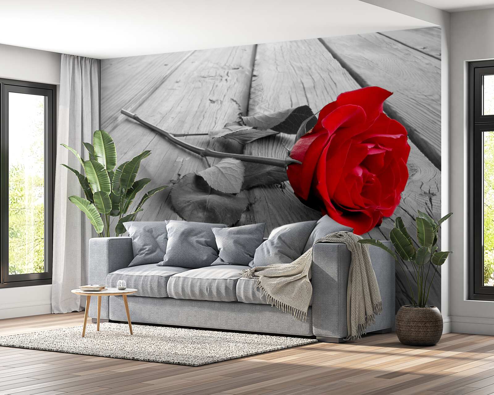 Fotobehang een rode roos bloeide op een grijze achtergrond