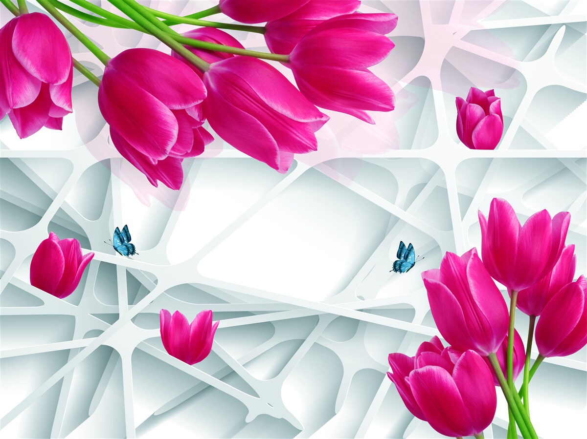 Fotobehang prachtige knoppen van roze tulpen