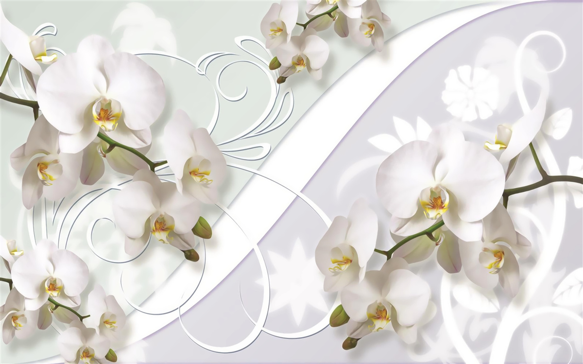 Fotobehang witte orchideeën op een witte achtergrond