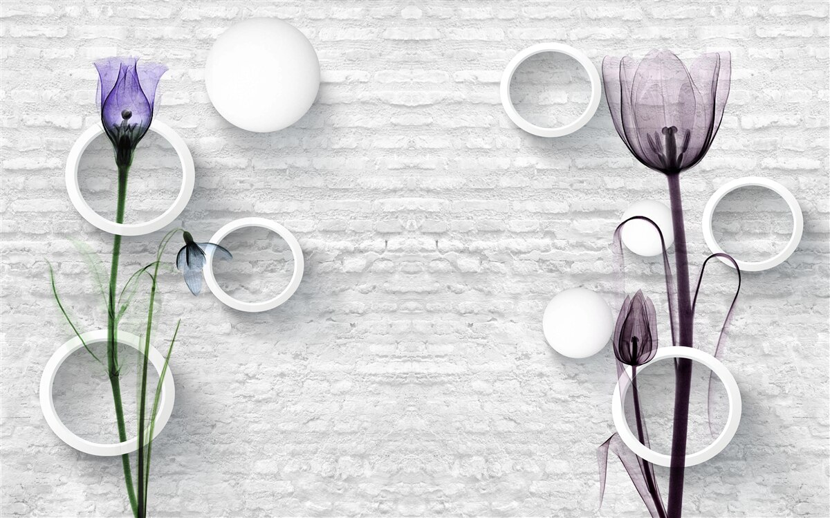 Fotobehang twee magere paarse klaprozen