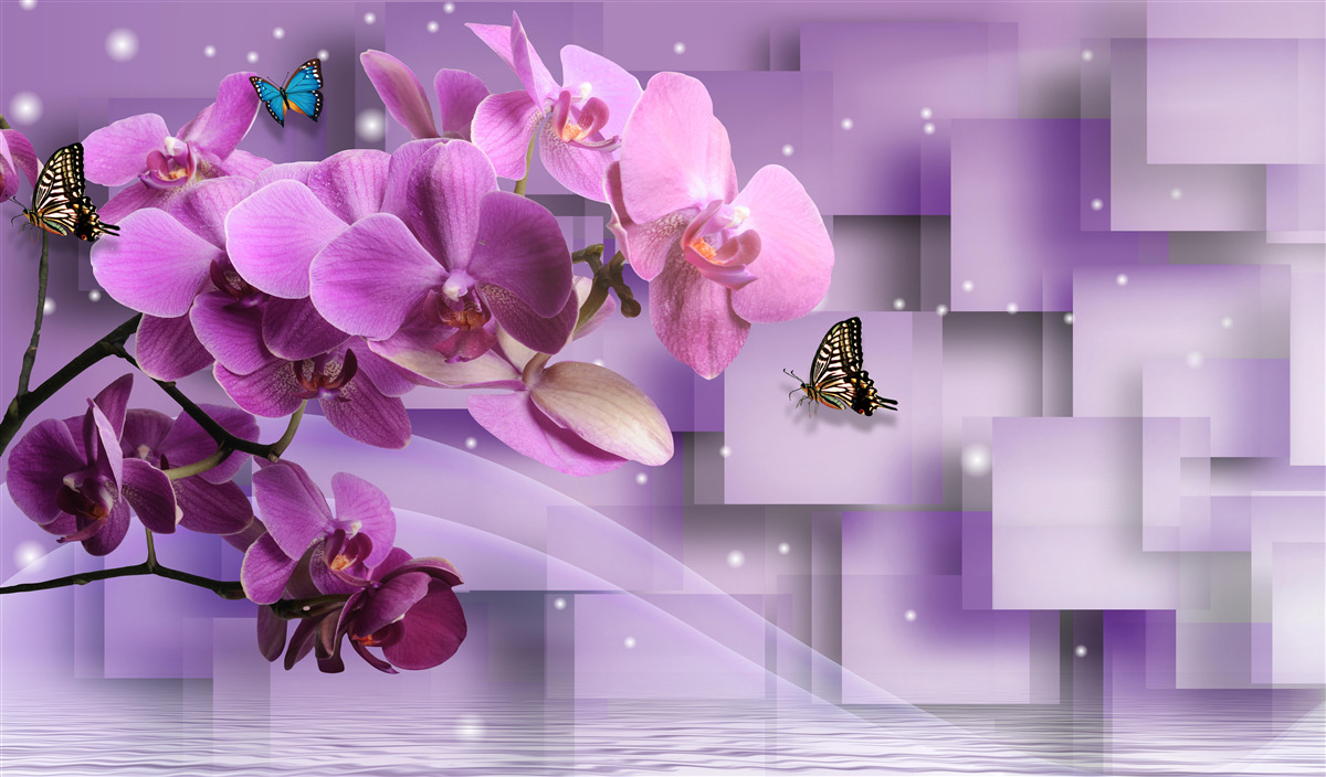 Fotobehang samenstelling van dunne orchideeën en vlinders