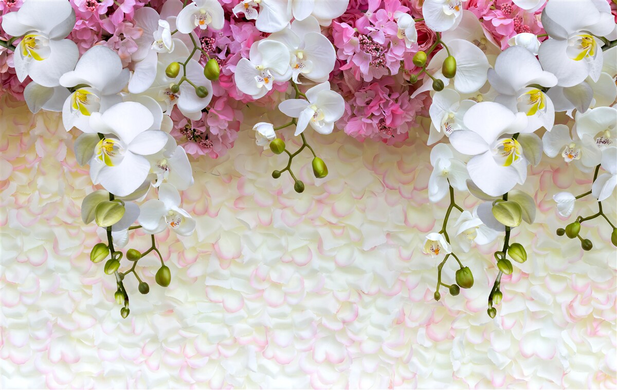 Fotobehang takken van verschillende orchideeën gaan naar beneden