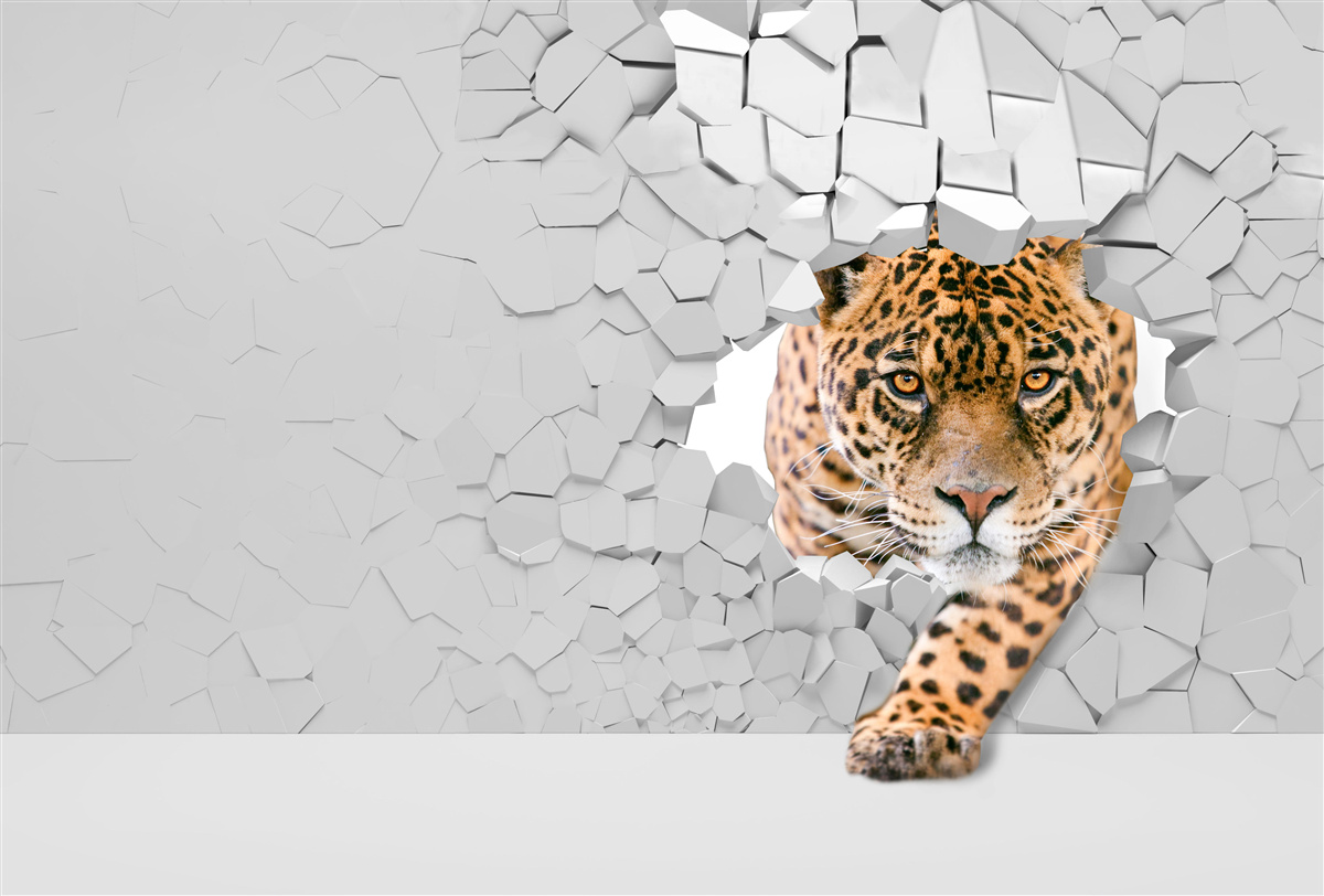 Fotobehang luipaard breekt door stenen barrière