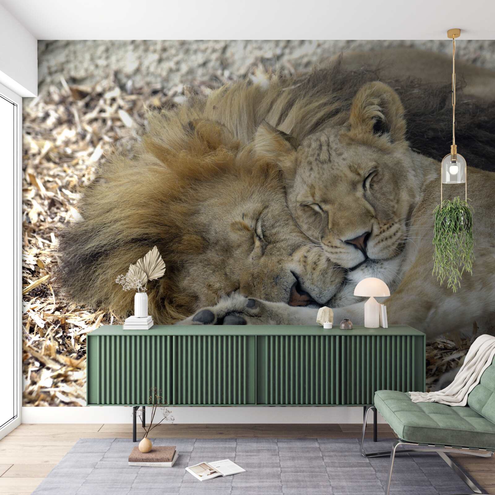 Fotobehang leeuw en leeuwin die een huwelijk vormen, sayat