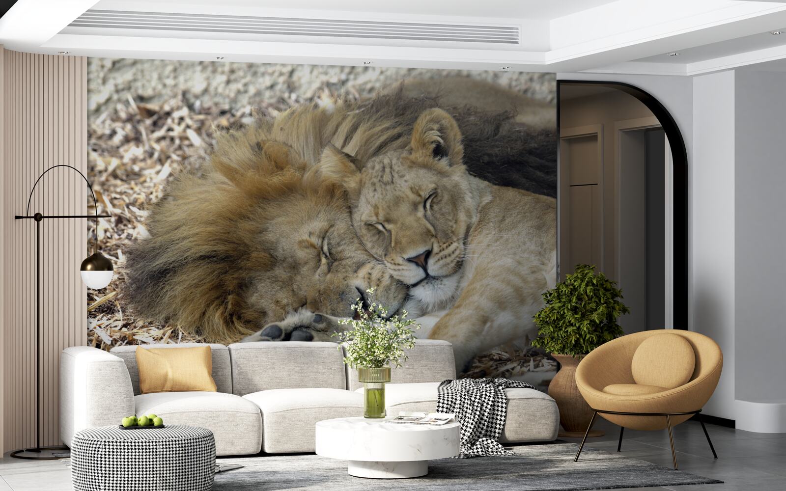 Fotobehang leeuw en leeuwin die een huwelijk vormen, sayat