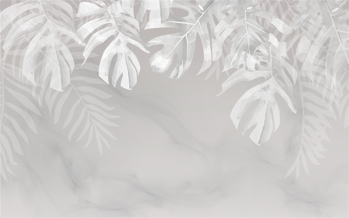 Fotobehang monstera met sneeuwwitte hangende bladeren