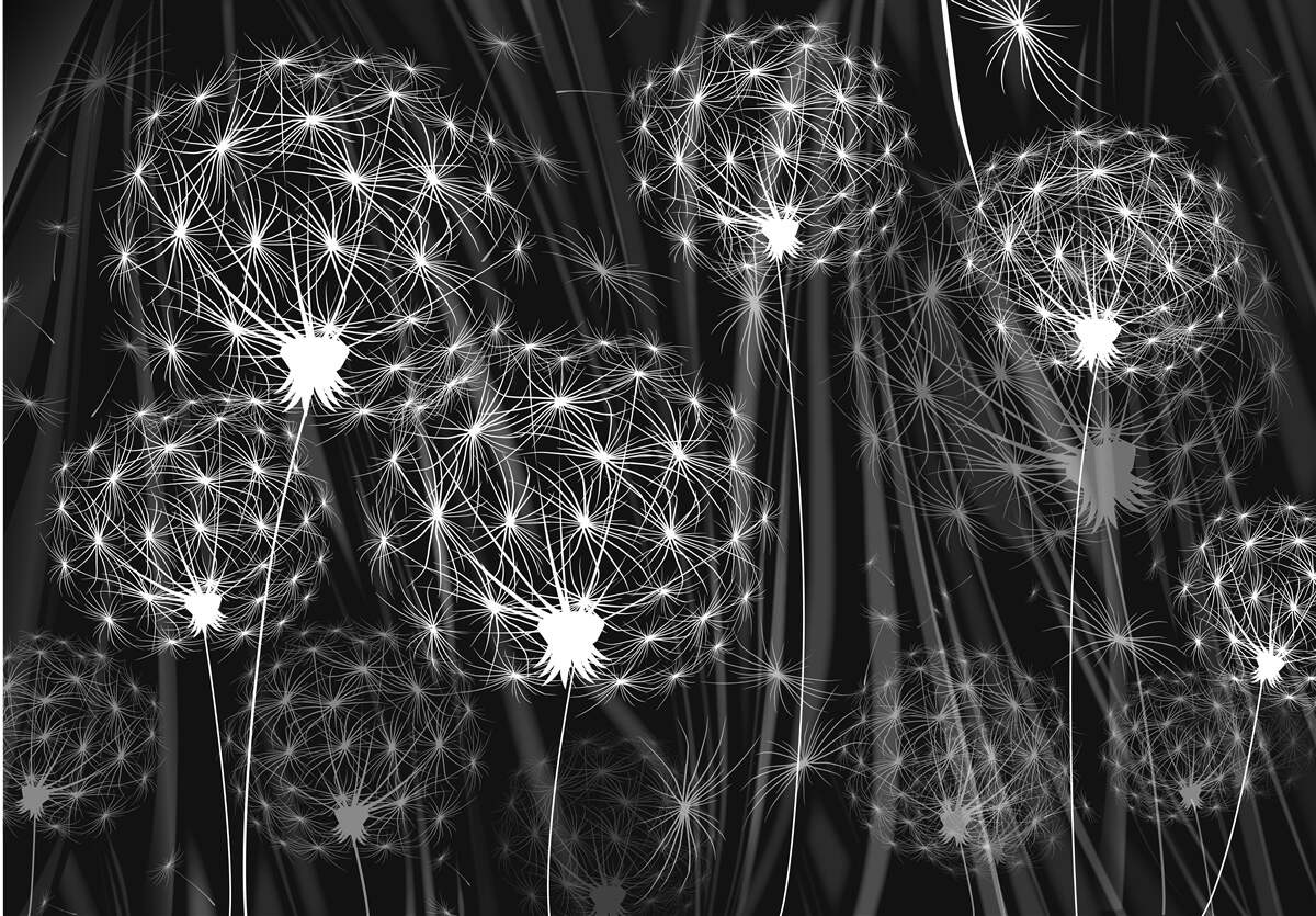 Fotobehang helderwitte kuit