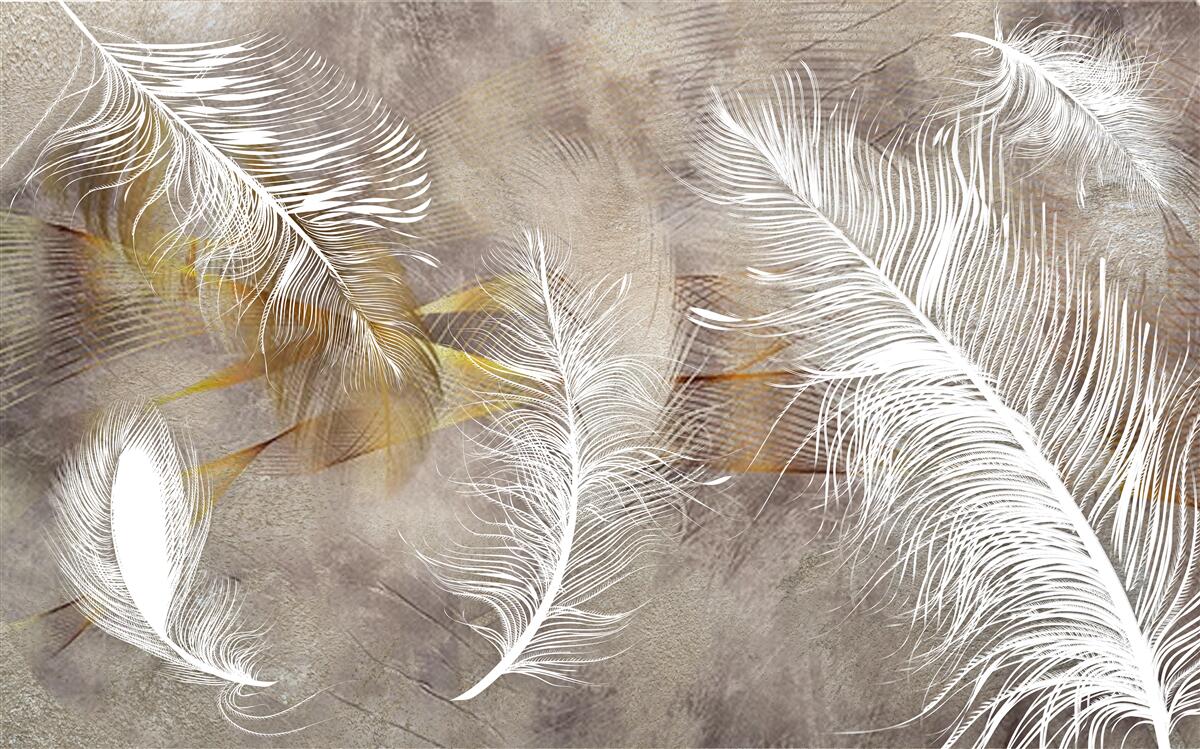 Fotobehang decoratieve veren die verwijzen naar de lichtheid van de lucht