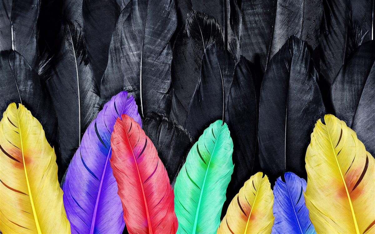 Fotobehang achtergrond met heldere grote veren