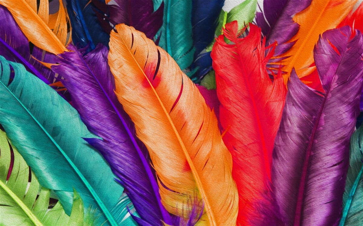 Fotobehang extreem rijke, glanzende veren