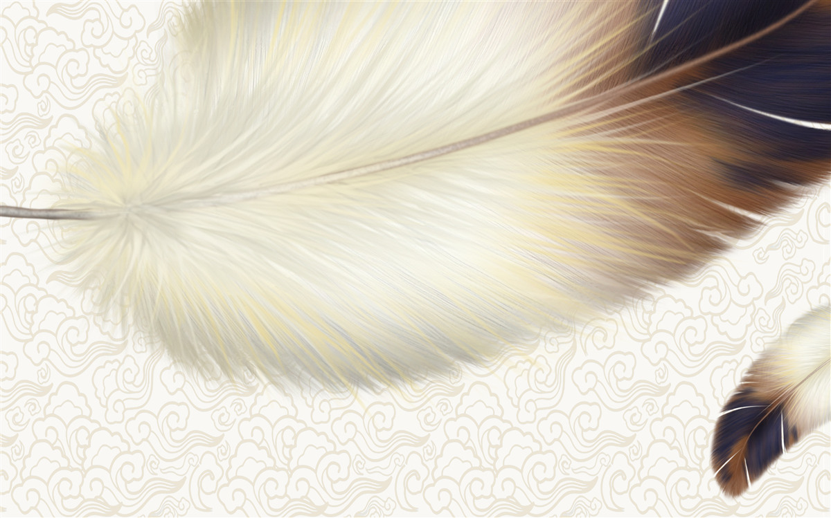 Fotobehang veren zijn wit met bruine randen