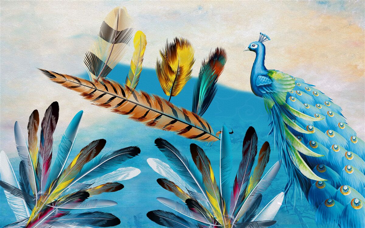 Fotobehang pauwenveren en hun variëteiten