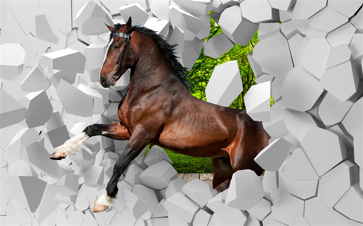 Fotobehang bruin paard overwint muurhindernis