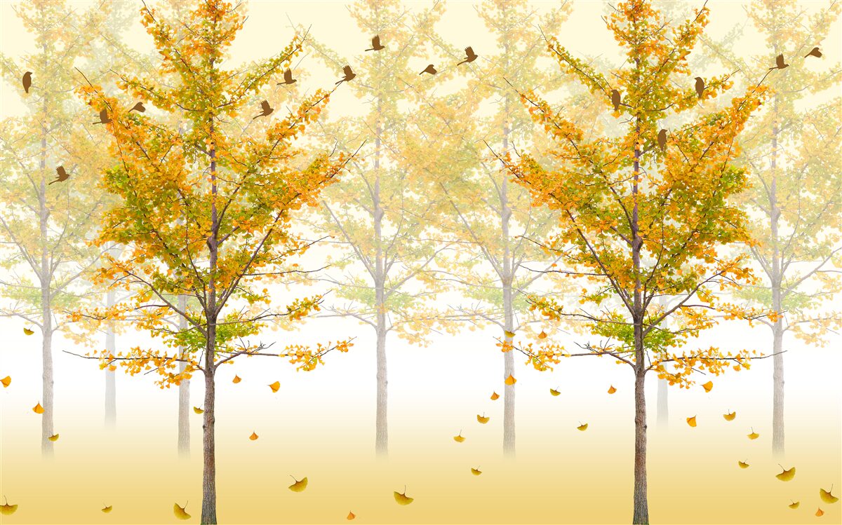 Fotobehang de kleuren van de herfst in een loofbos