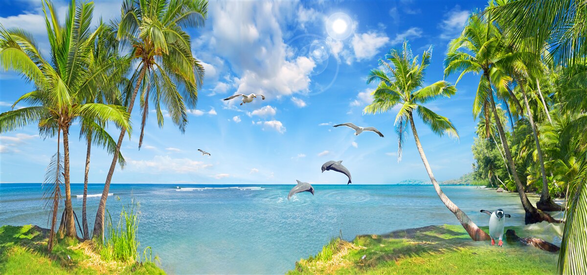 Fotobehang dolfijnen op een zeegezicht