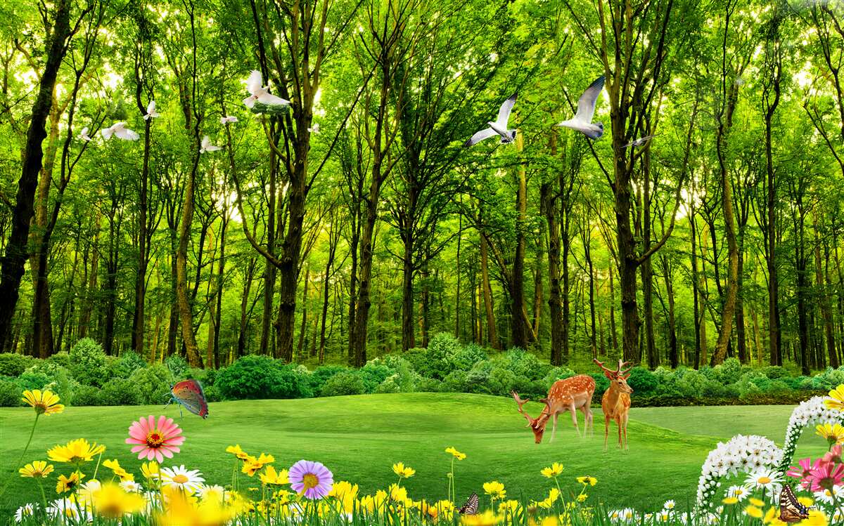 Fotobehang in het groene bos lopen de herten in de wei