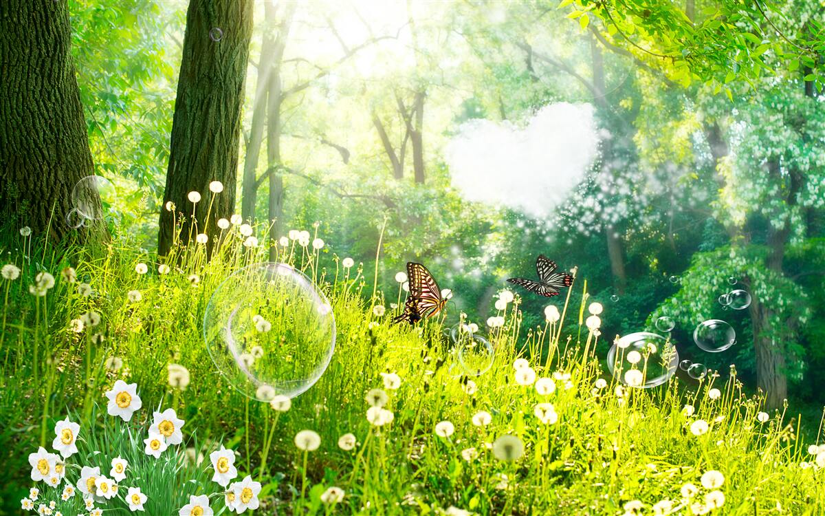 Fotobehang Motten op een groene weide