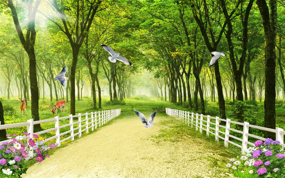 Fotobehang in het bos verwelkomen duiven de warme zonnestralen