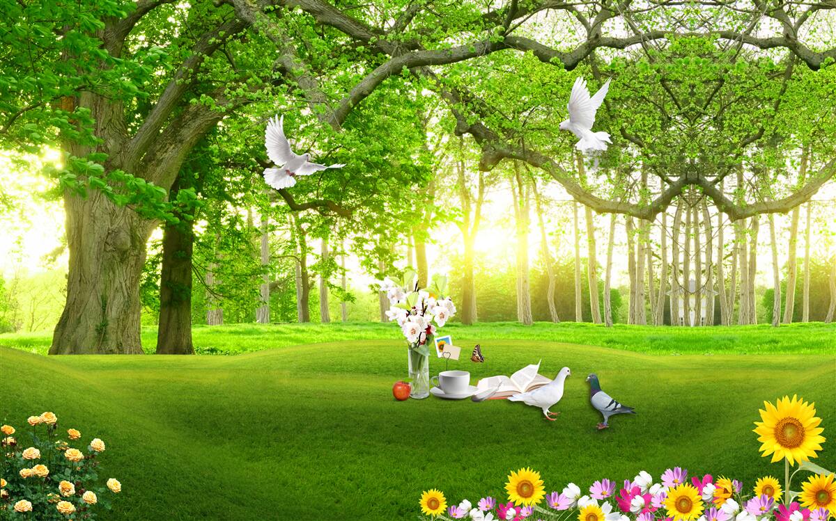 Fotobehang vredig groen gazon bij zonsopgang