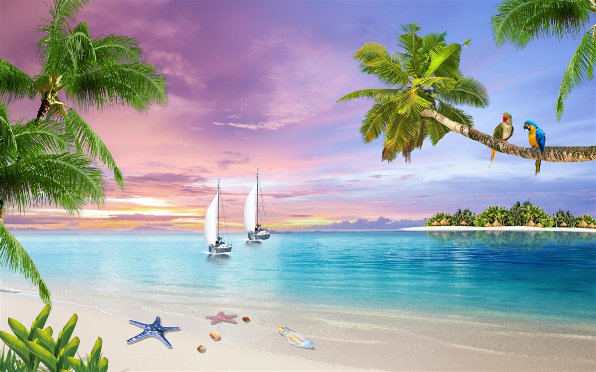 Fotobehang jachten met zeilen bij de kust